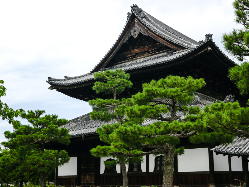 Sausage qui bacon strip steak