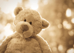 Vivamus volutpat turpis Vivamus volutpat turpis